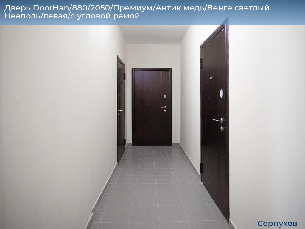 Дверь DoorHan/880/2050/Премиум/Антик медь/Венге светлый Неаполь/левая/с угловой рамой, serpukhov.doorhan.ru